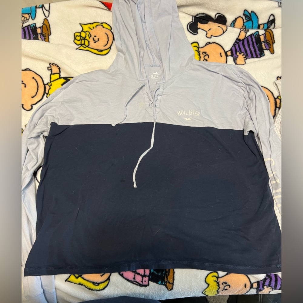 Hollister long sleeve with hood